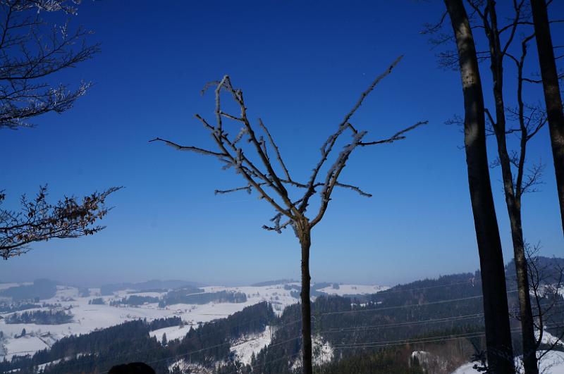 2013 03 03 B